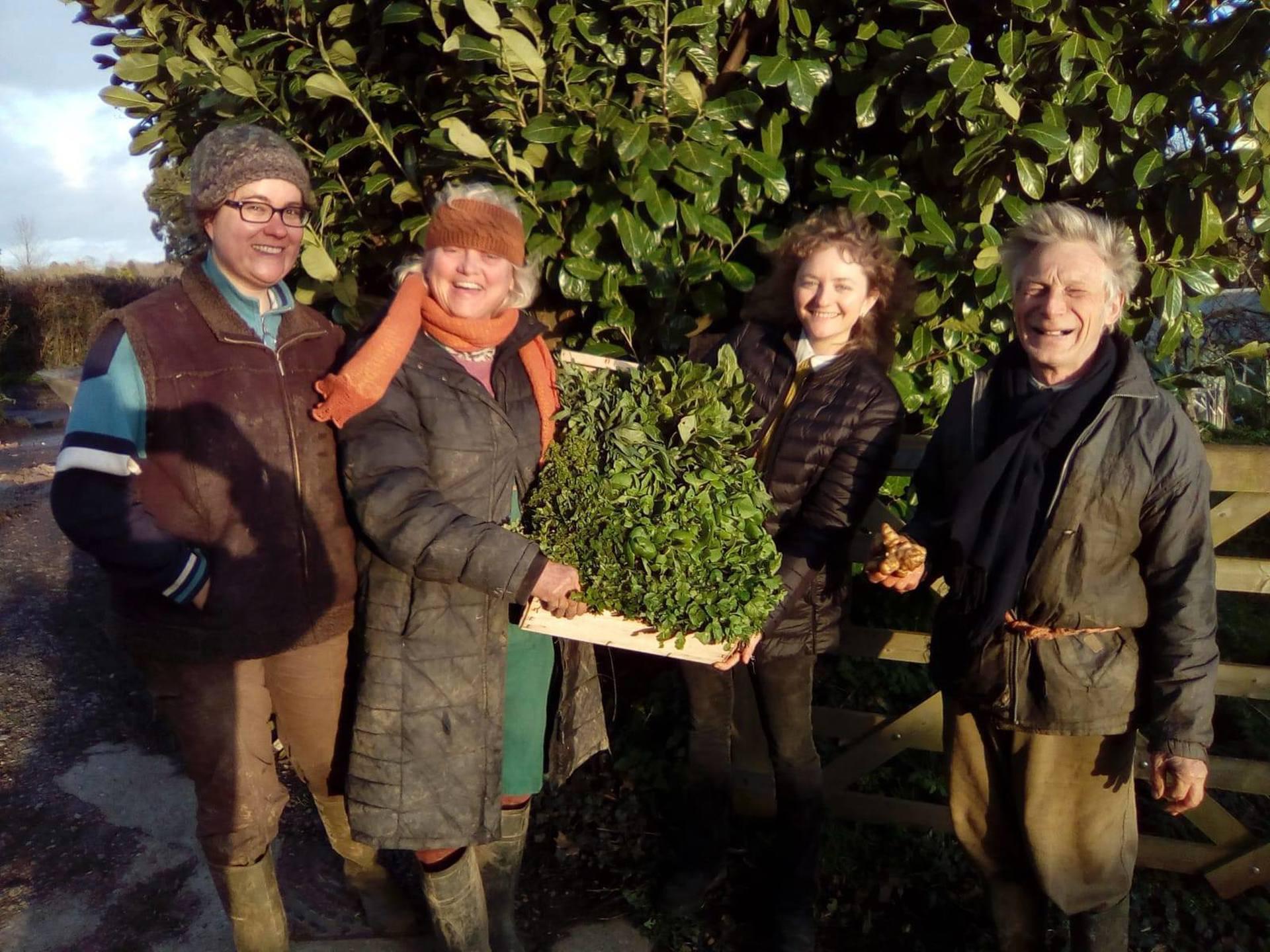 Laines Organic Farm - Cuckfield