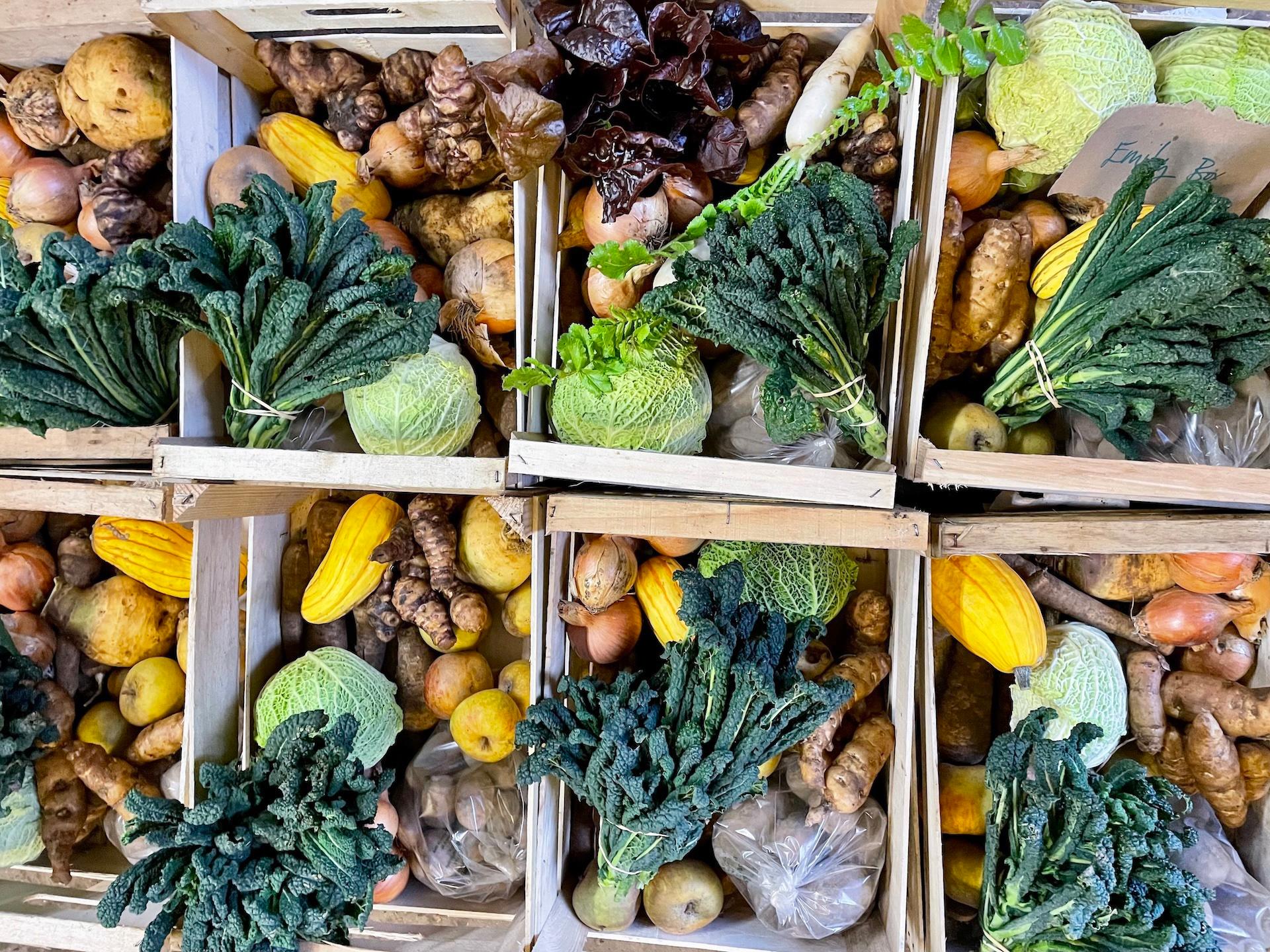Laines Organic Farm